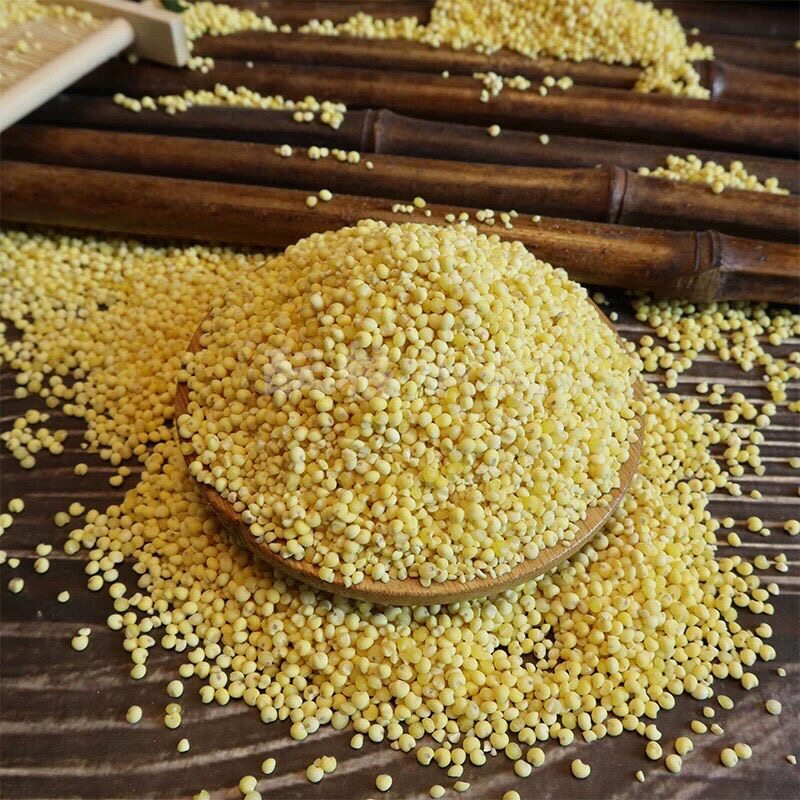 9斤新大黄米粘糯黄小米粽子粘豆包年糕糕面粗粮五谷杂粮农产品