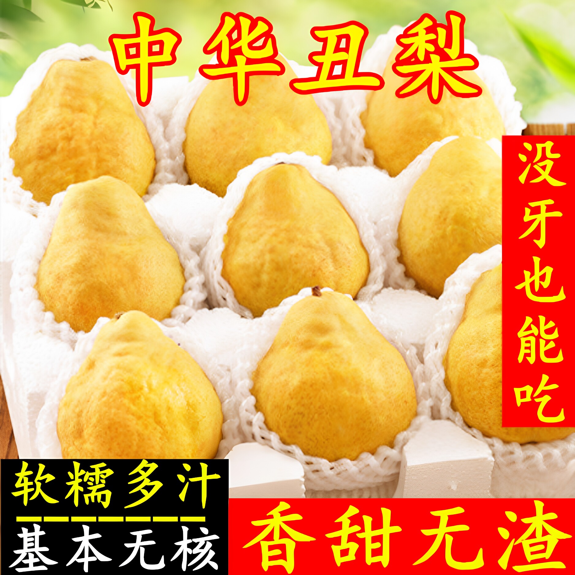正宗山东烟台中华丑梨子