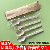 加厚一次性美式 勺子独立包装 拌饭勺加硬西瓜勺子牛排叉子外卖叉勺