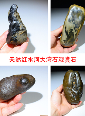 天然小品大湾石观赏奇石