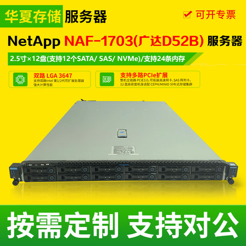 广达D52B NetApp NAF-1703机架式二手双路3647数据存储服务器主机