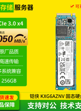 铠侠KXG6AZNV 256G M.2 NVMe2280 笔记本SSD 二手固态硬盘