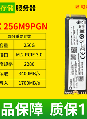 Plextor/浦科特PX 256M9PGN 256G PCie3.0 M.2固态硬盘服务器SSD