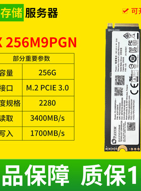 浦科特PX256M9PGN固态硬盘