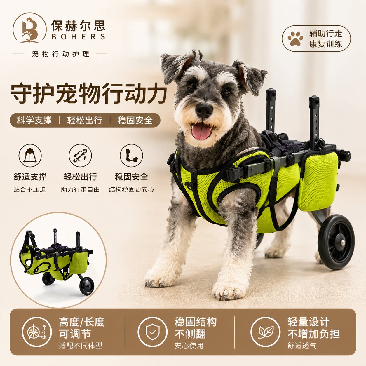 LETTO老年犬后肢轮椅康复训练车