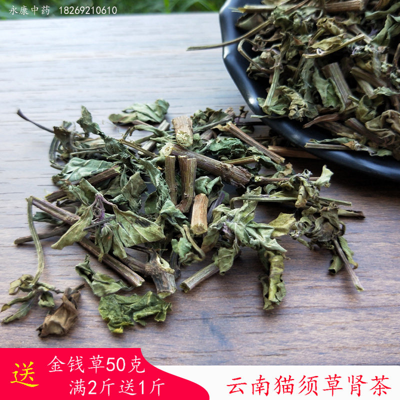 广西猫须草化石草泡茶煮水