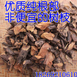 野生老鼠耳 老鼠草 小叶铁包金 乌金藤 狗脚利 小号铁包金 乌石米