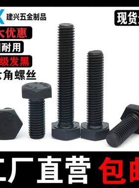 1.9级外六0角螺丝 黑M6M8M1M12M14M16M20高强度合金钢外2六角螺栓