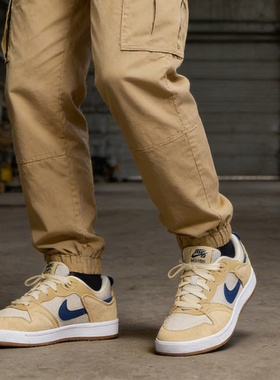 耐克NIKE SB ALLEYOOP男子休闲板鞋CJ0882-700