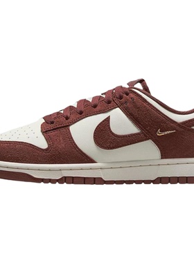 Nike/耐克 W NIKE DUNK LOW NC女子板鞋IB4417-104