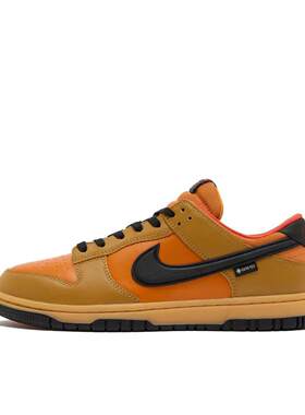 Nike/耐克 NIKE DUNK LOW GTX男子板鞋HQ2053-700
