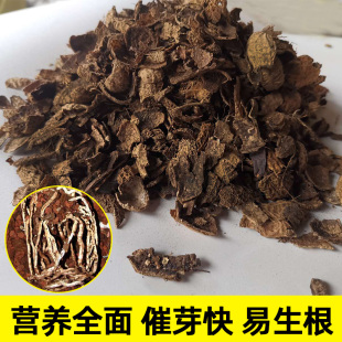 兰花植料发酵腐熟花生壳兰花君子兰腐殖盆栽特级有机肥花泥营养土