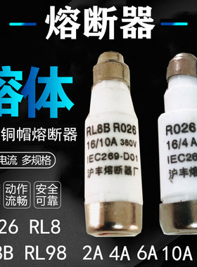 熔断器熔芯R026 RL8 RL8B RL98B D01 2A 4A 6A10A 16A熔体 保险管