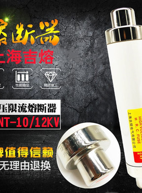 上海吉熔高压高分断能力熔断器SFLAJ-12KV XRNT-10KV 80A100A125A