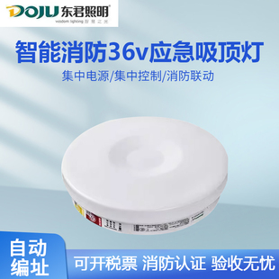 东君集中电源应急照明吸顶灯紧急停电感应灯声控楼道走廊led灯