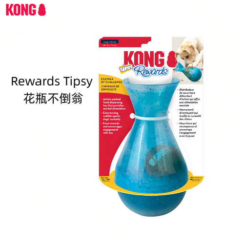 KONG狗狗玩具益智藏食漏食球解闷
