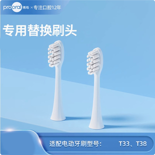 博皓电动牙刷原厂刷头 T38 适用T33