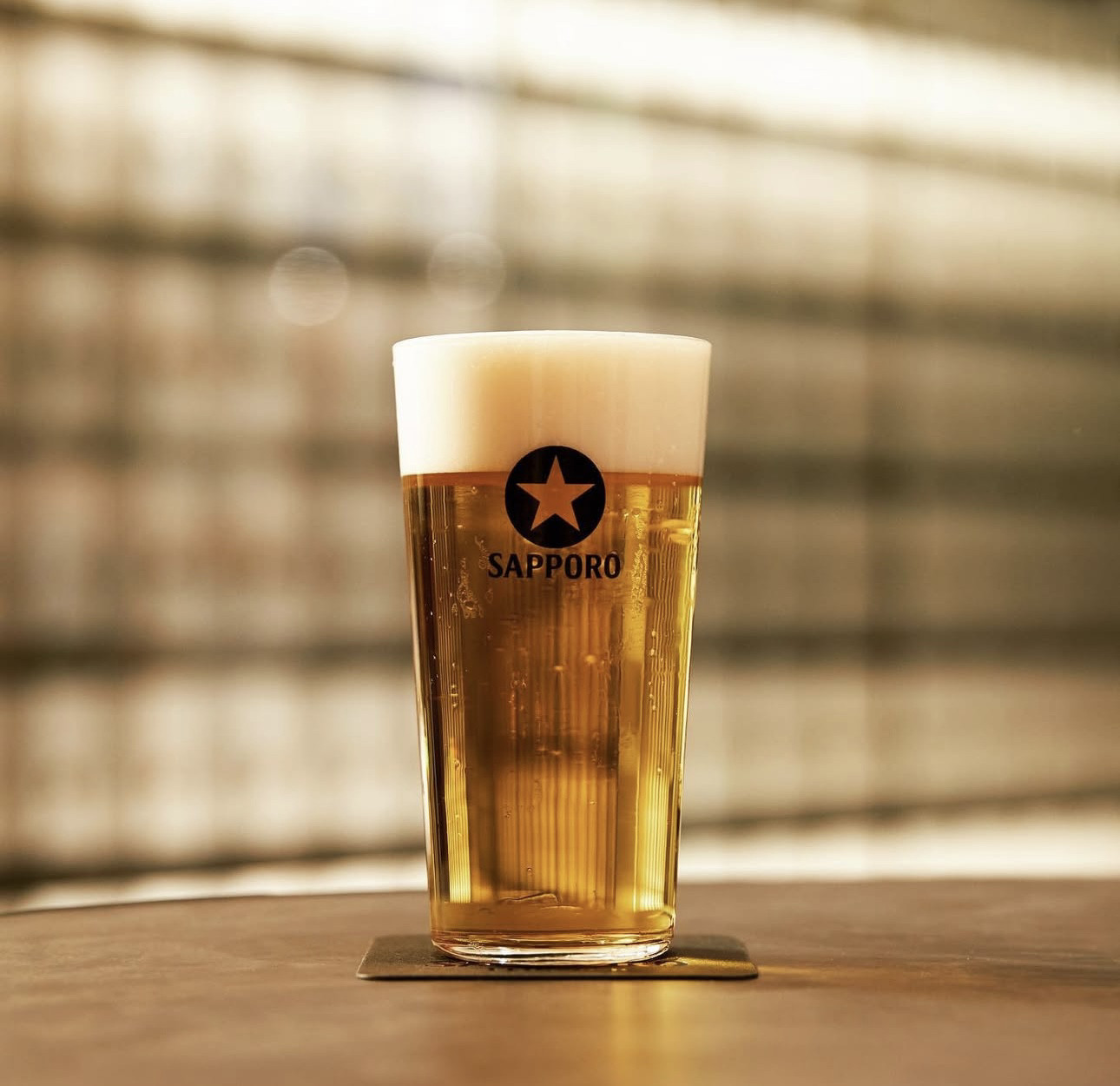 日本产 sapporo  三宝乐札幌啤酒黑星啤酒杯330ml全新带盒,餐饮具,啤酒杯,淘宝优惠券,粉丝福利购,淘宝优惠卷