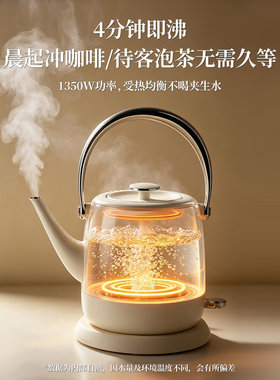 茶皇子不锈钢电热水壶提梁电茶壶家用防干烧自动断电长嘴烧水煲