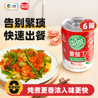 屯河新疆去皮無(wú)添加劑番茄醬