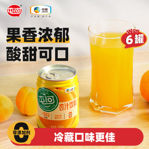 中粮屯河杏汁番茄汁听装6罐装果汁饮料整箱果蔬汁饮品轻食