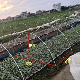厂家直销5-12mm玻璃纤维棒新型拱棚支架蔬菜棚支架小弓棚