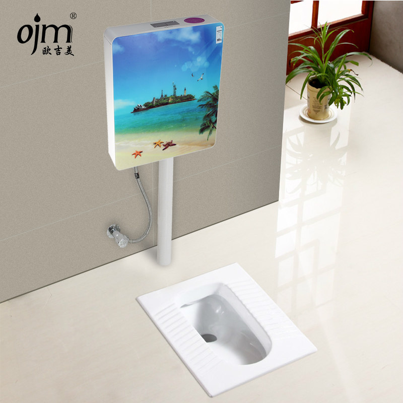 欧吉美 蹲便器水箱 卫浴香薰冲水箱 大便池双按冲水箱壁挂式