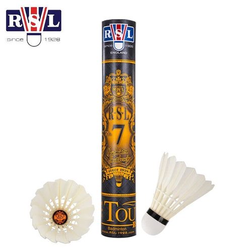 亚狮龙RSL入门训练耐打羽毛球