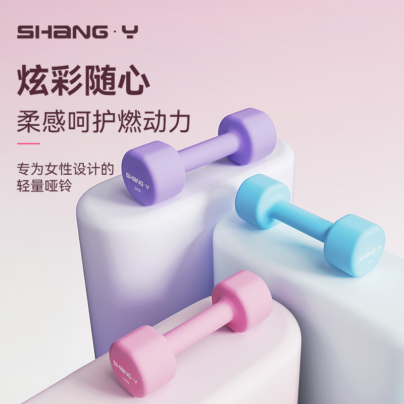 品键哑铃一对家用初学者臂力训练图片