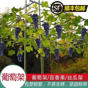 户外庭院葡萄架组装支架百香果苦瓜攀爬架铁艺棚架阳台植物爬藤架