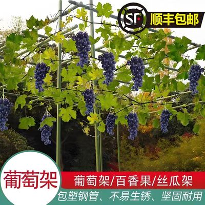 户外庭院葡萄架组装支架百香果苦瓜攀爬架铁艺棚架阳台植物爬藤架