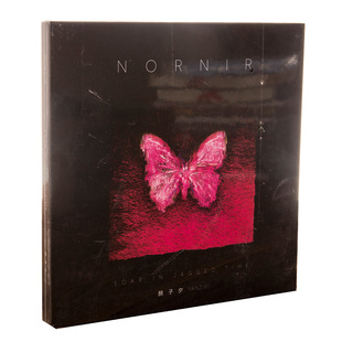 现货 战狼2主题曲创作者 颜子夕 独音唱片 2020专辑Nornir 正版