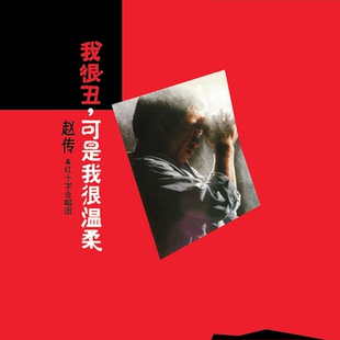 我终于失去了你 我是一只小小鸟 LP唱片 可是我很温柔 赵传我很丑