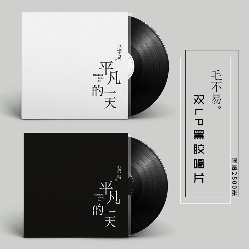 正版现货毛不易平凡的一天LP黑胶唱片老式留声机专用12寸碟片双碟