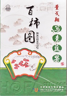 DVD 董戈翔写意蔬果：百柿图 中央广播电视大学 国画教学光碟