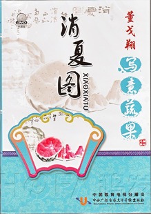 DVD 董戈翔写意蔬果：消夏图 中央广播电视大学 国画教学光碟