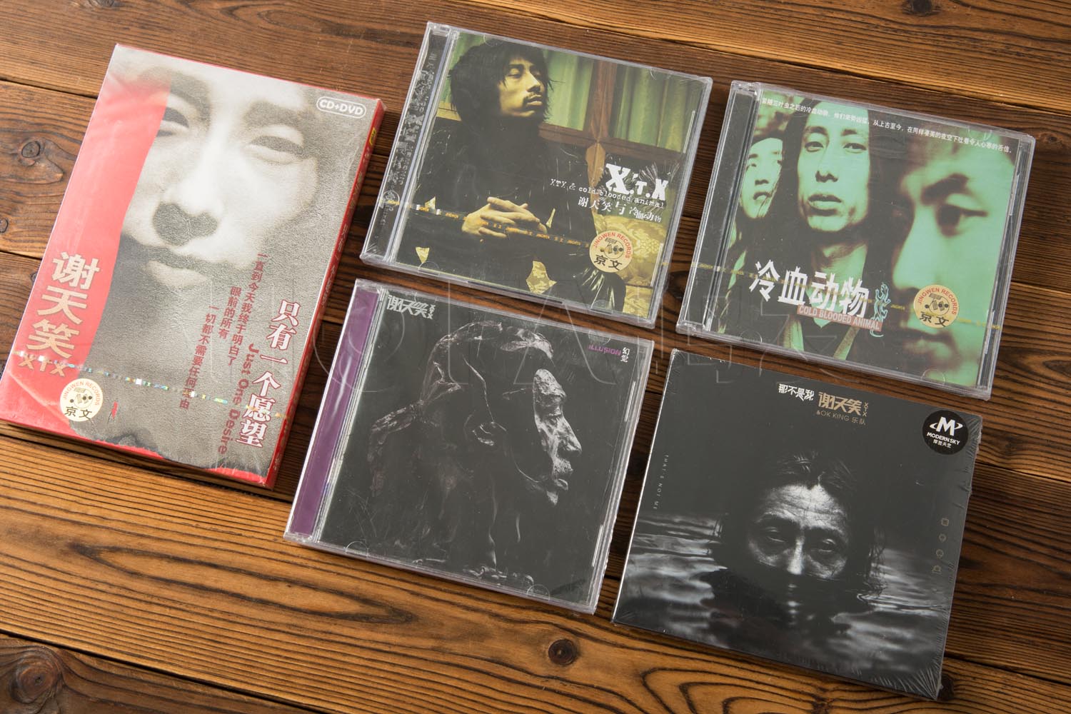 谢天笑5张cd专辑同名 冷血动物 只有一个愿望 幻觉 那不是我cd