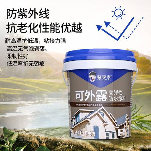 馨享家防水补漏屋顶材料