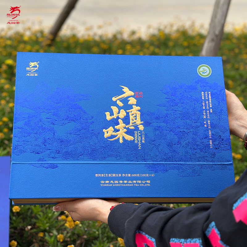云南龙园号普洱茶六山真味套装典藏礼茶600g送礼品饮