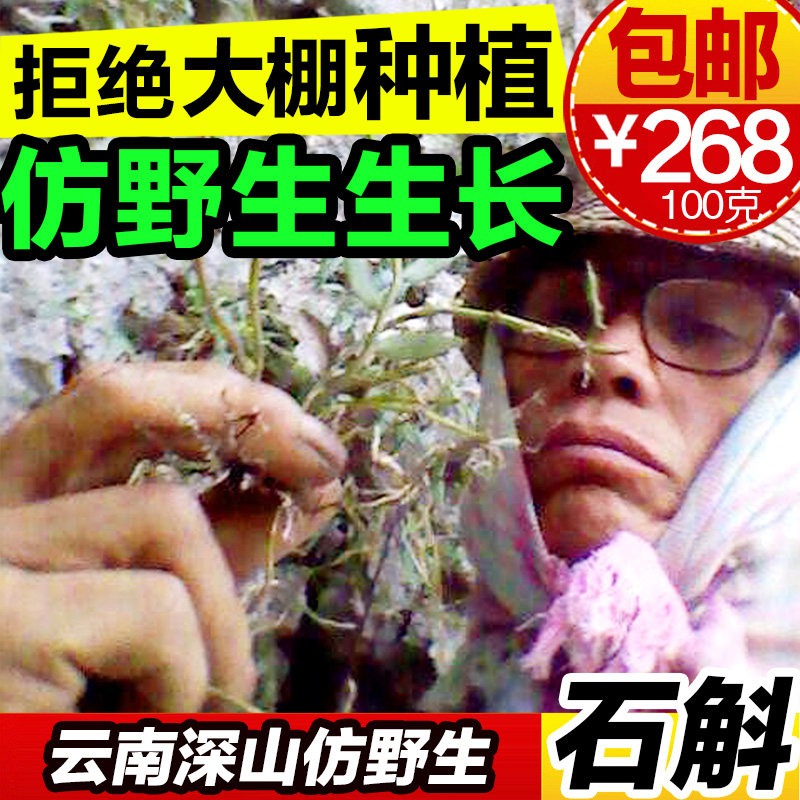 然生云南铁皮石斛仿野生特级芽级铁皮石觚枫斗云南鲜条养生茶100g