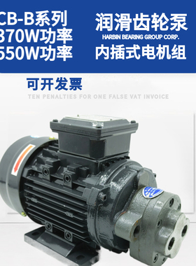 CBW-B2.5/CB-B4/CB-B6JZ/CB-B10JZ锯床齿轮油泵电机三相550W/370W