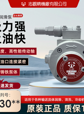台湾志观油泵摆线泵TK3015 TK3020 TK3030  TK3040HB-VB/VD润滑泵