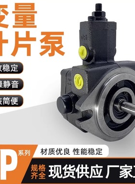 VP-20-FA3变量叶片泵VP-30/40-FA3液压油泵VP-08/12/15-FA3液压泵