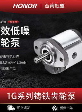 台湾HONOR钰盟1G系列铸铁齿轮泵/油泵1GG1B0SR 01 02 27 35 04 05
