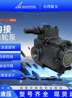 台湾锐力内接齿轮泵TOP30 液压泵TOP3060 3080 3100润滑冷却泵