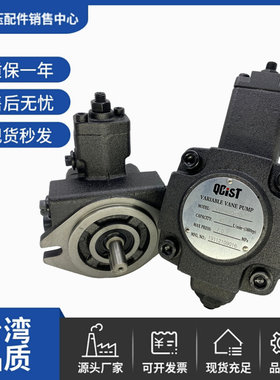 秦川QCIST VVP30B/70 VVP40B/55 VVP20B/35 VVP15B/20 机床叶片泵