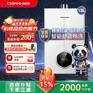 前锋燃气热水器13升家用电天然气洗澡恒温B01R强排速热水器燃气款
