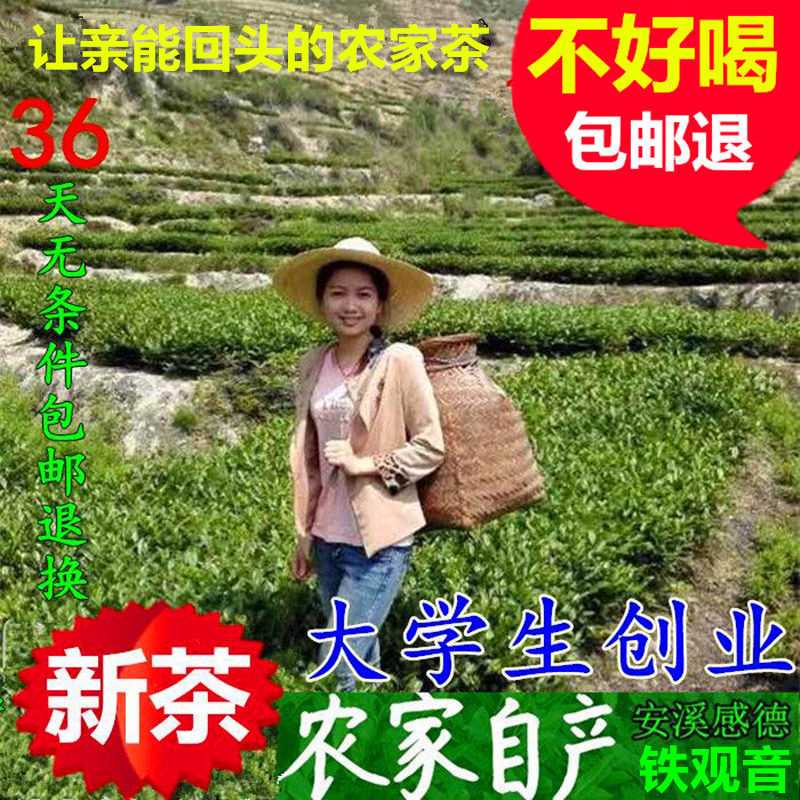 正宗安溪铁观音茶叶新茶春茶正品浓香型兰花香高山茶农直销2024-封面