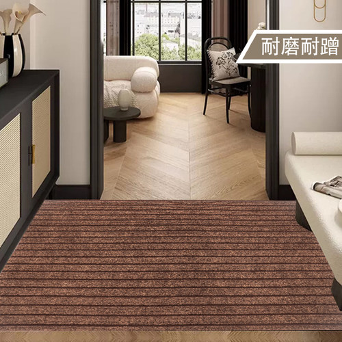 入户门地垫可裁剪大面积