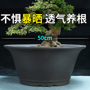 特大号圆盆种树紫砂花盆特价清仓庭院室内50Cm以上超大陶瓷盆景盆